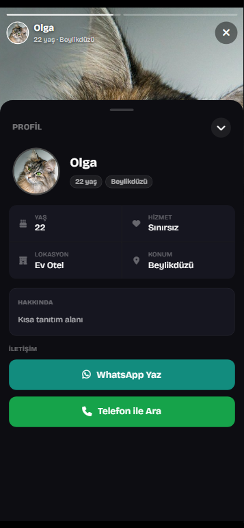 Mega Vitrin PHP İlan Vitrini