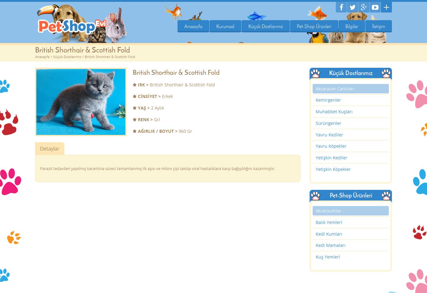 Mobil Uyumlu Php Petshop Sitesi Scripti