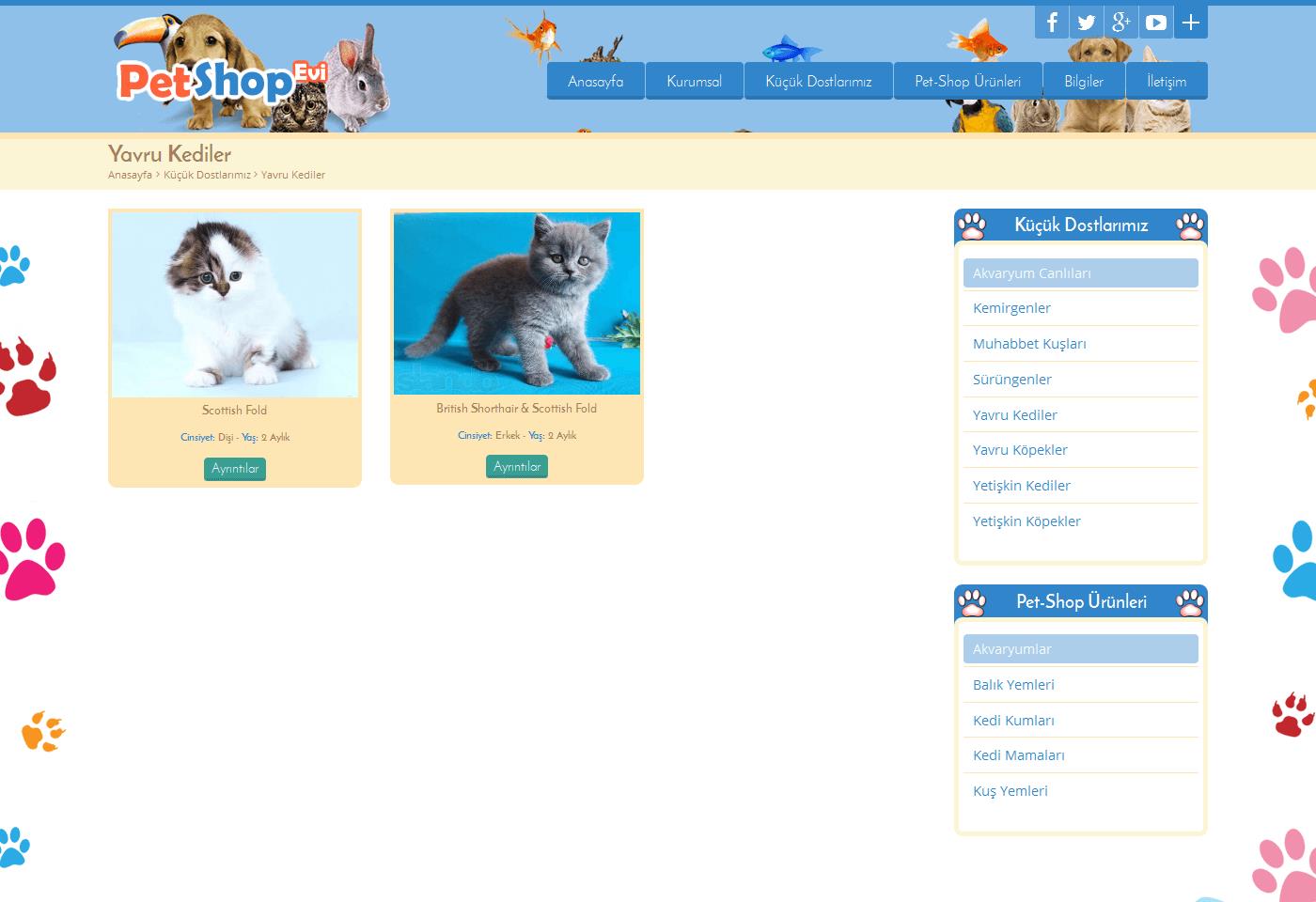 Mobil Uyumlu Php Petshop Sitesi Scripti