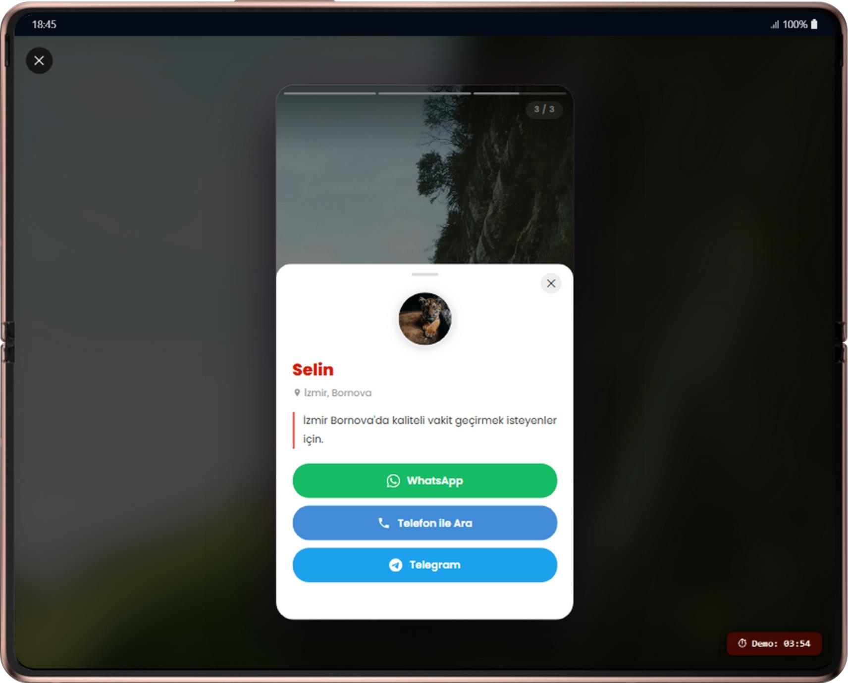 Story Vitrin İlan + Üye Paneli + Amp Eklentisi